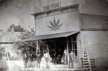 Texas cannabis history