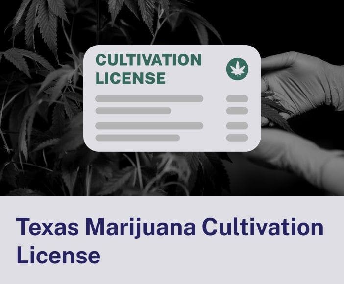 Texas Marijuana Cultivation License