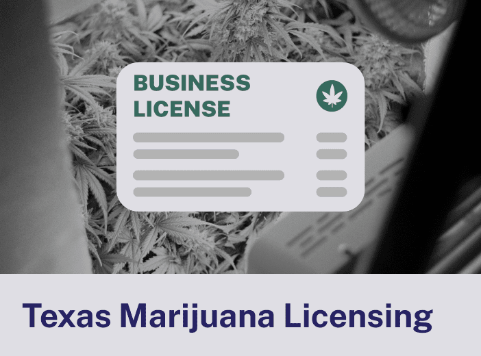 Texas Marijuana Licensing