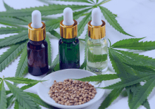 Texas Active Medical Marijuana Patients in 2025.png