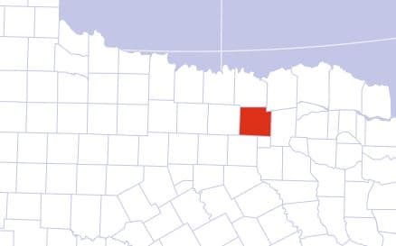 Collin County Cannabis