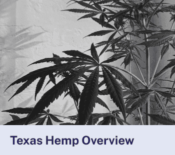 Texas Hemp Overview
