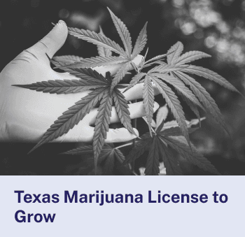 Texas Marijuana License to Grow
