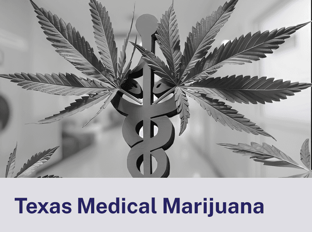 Texas Medical.png