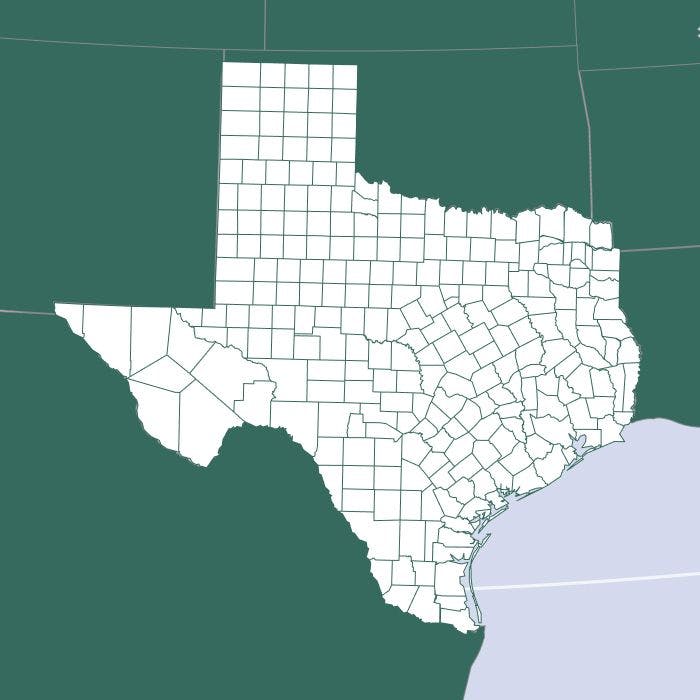Texas Cannabis County Info